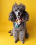 Bandana para mascotas "Jardín"