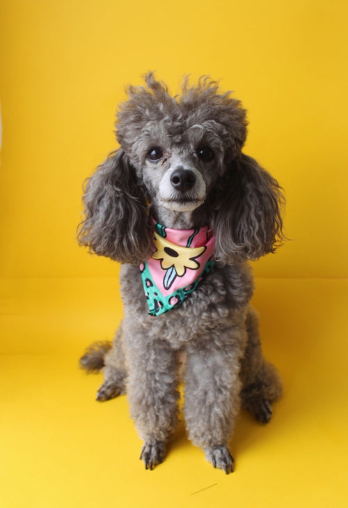 Bandana para mascotas "Jardín"