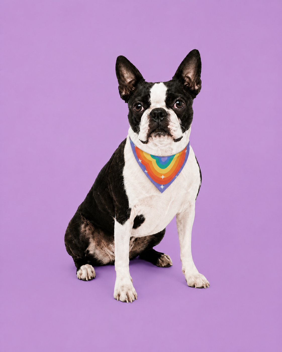 Bandana para mascotas "Rainbow"