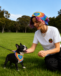 Haz match con tu mascota - Pañuelo Rainbow