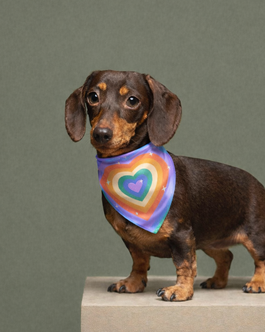 Bandana para mascotas "Rainbow"